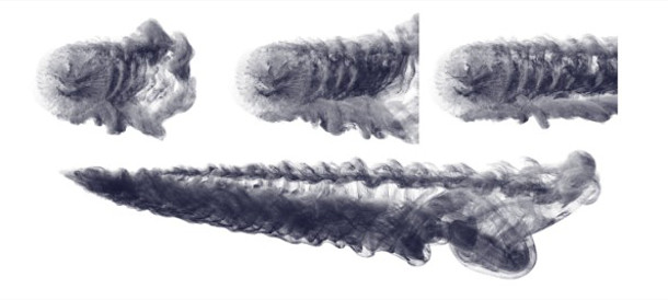 160530_SiggraphTechPapers_ResolvingFluidBoundaryLayers