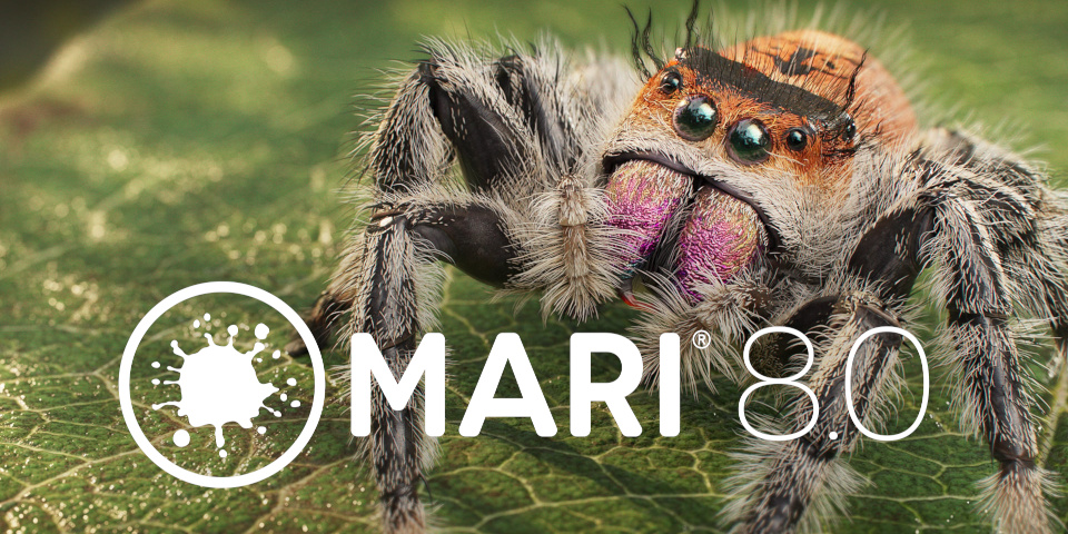 Foundry releases Mari 8.0 | CG Channel